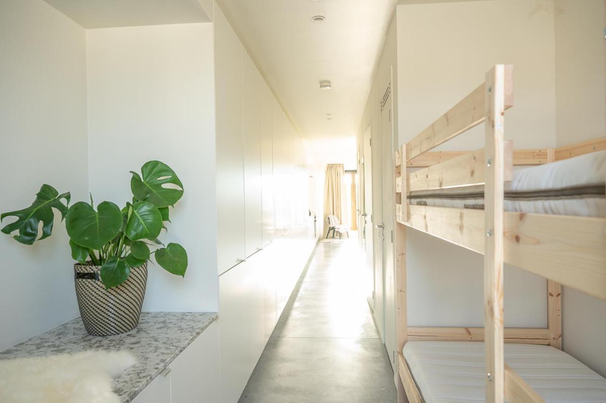 Trendy Apartments As Base To Discover Gent Eksteriør bilde