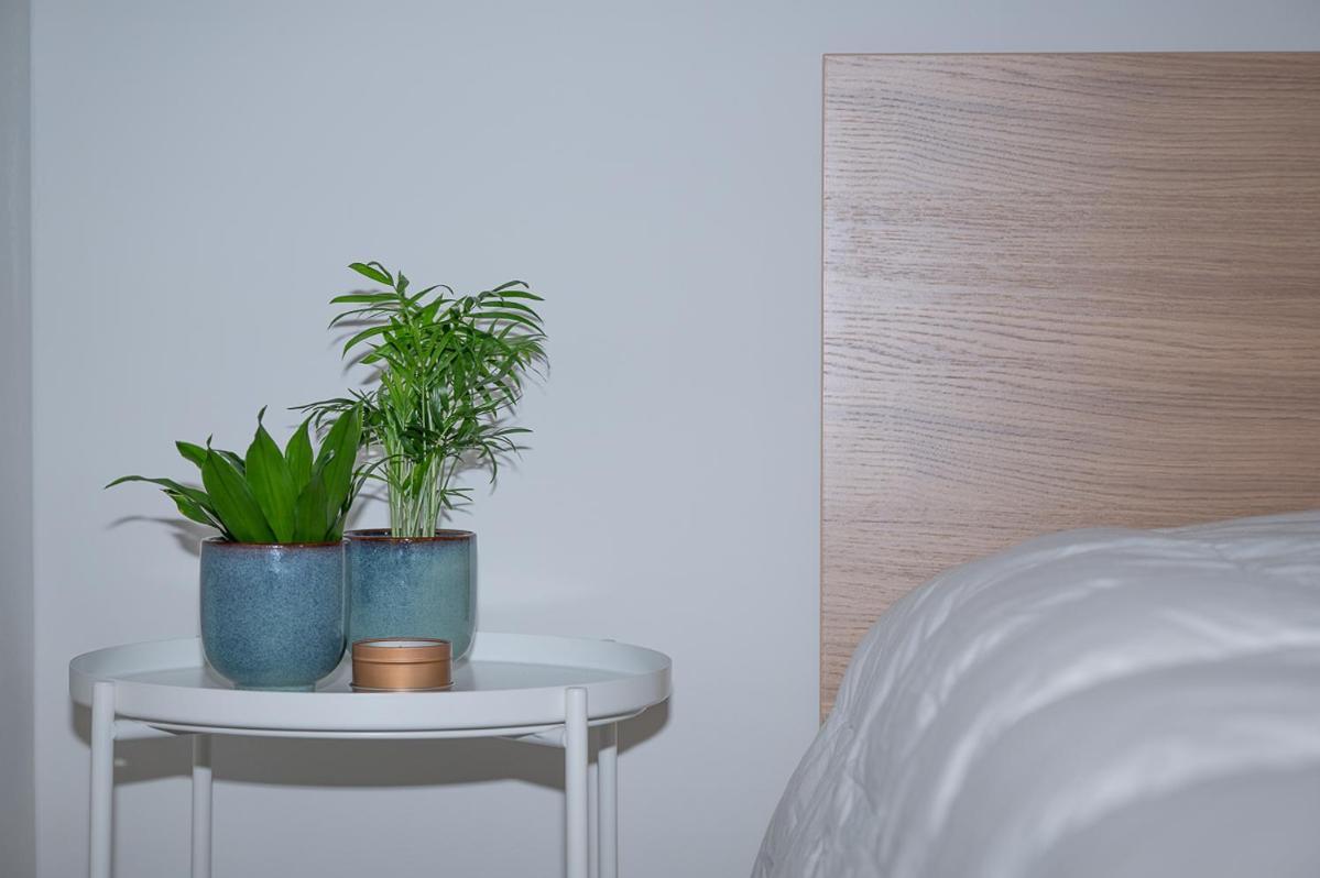 Trendy Apartments As Base To Discover Gent Eksteriør bilde